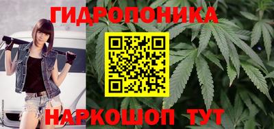 кокс Можга