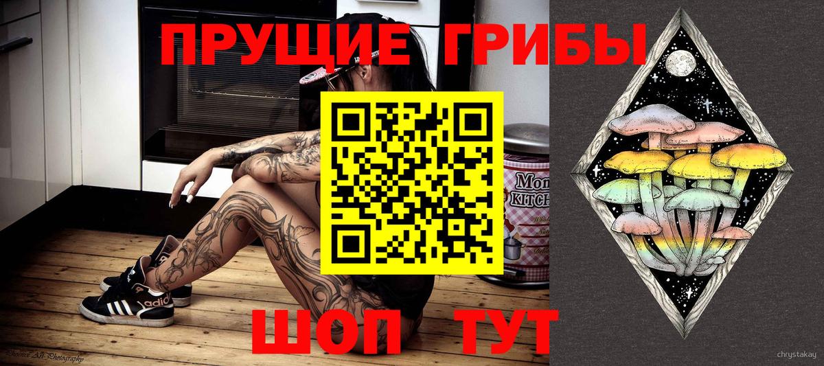 Елабуга  Галлюциногенные грибы Cubensis  Вход с VPN  Псилоцибиновые грибы GOLDEN TEACHER 
